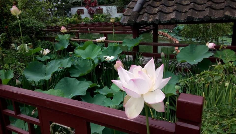 דירות Pingtung Chinese Garden Houses מראה חיצוני תמונה