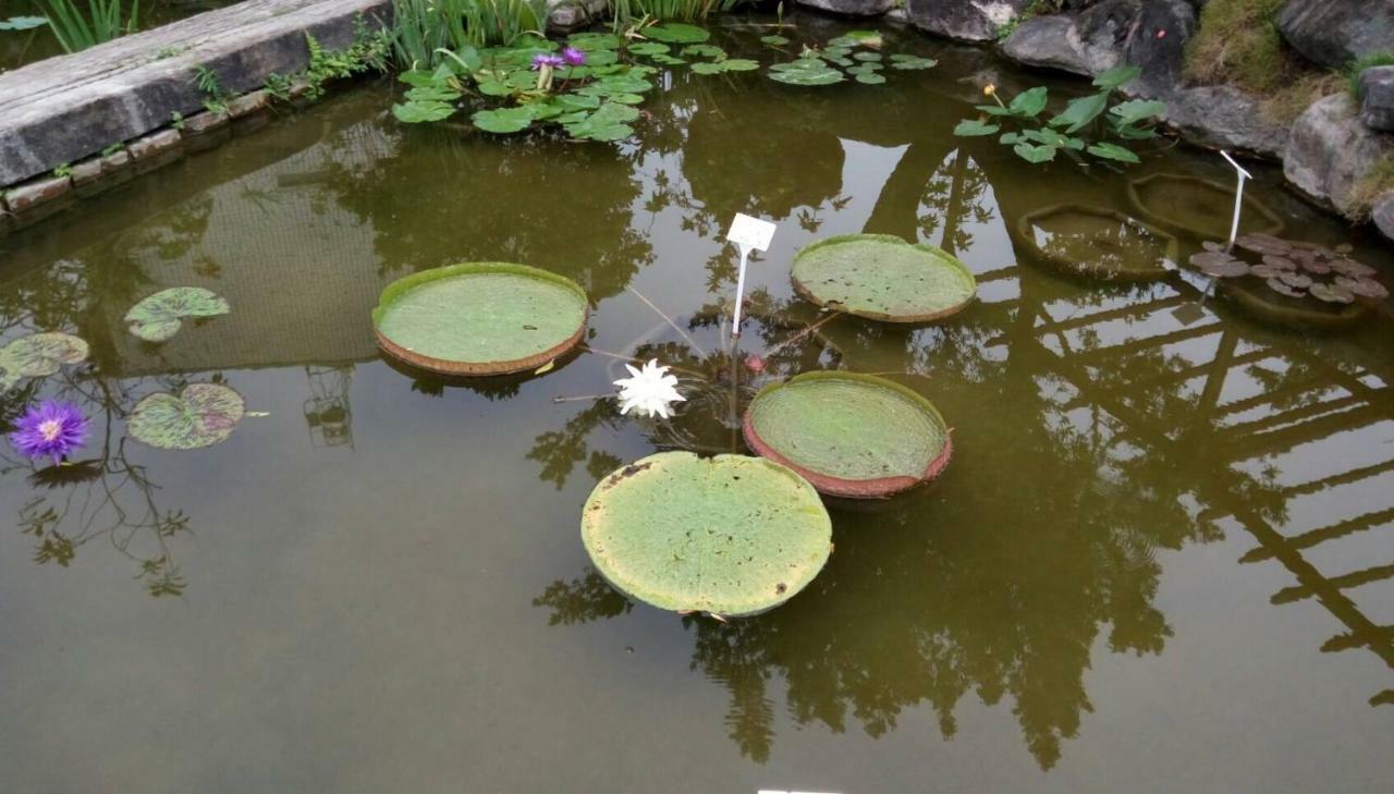 דירות Pingtung Chinese Garden Houses מראה חיצוני תמונה